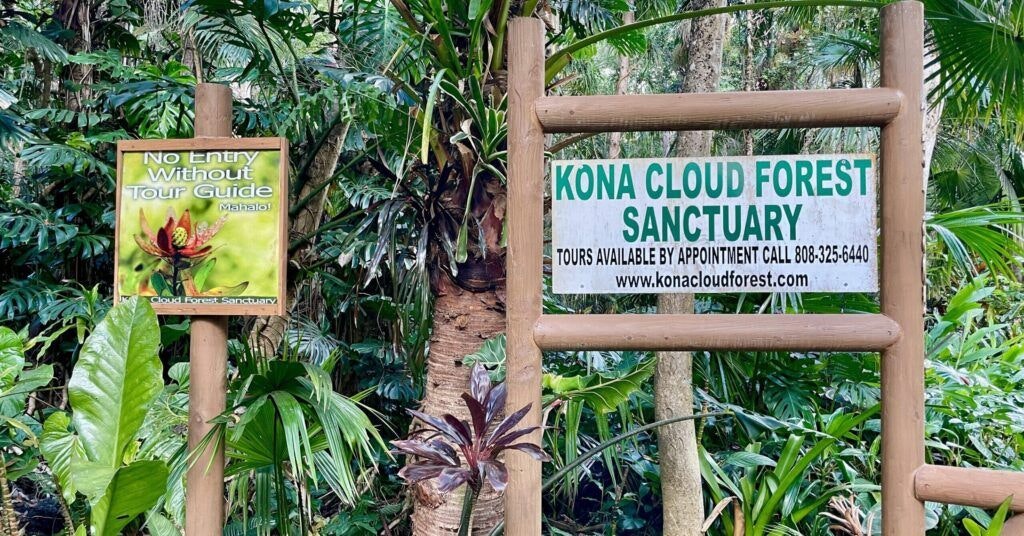kona-cloud-forest-sanctuary-001