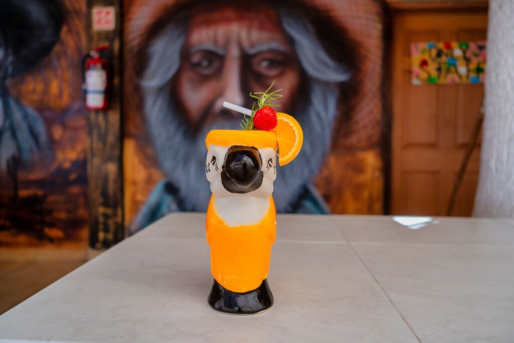 los-mtz-by-las-gaviotas-020