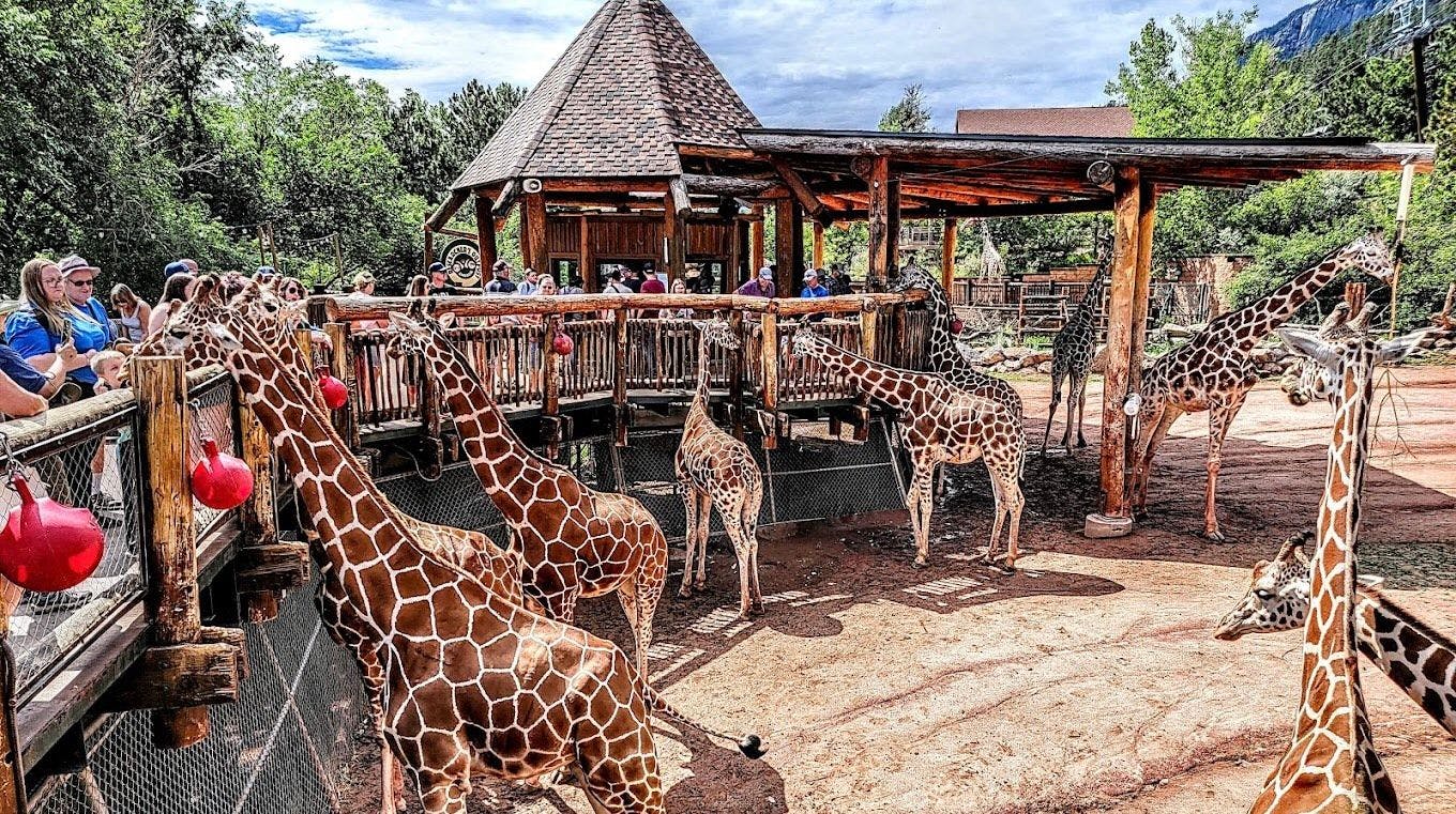 Cheyenne Zoo 2.jpeg