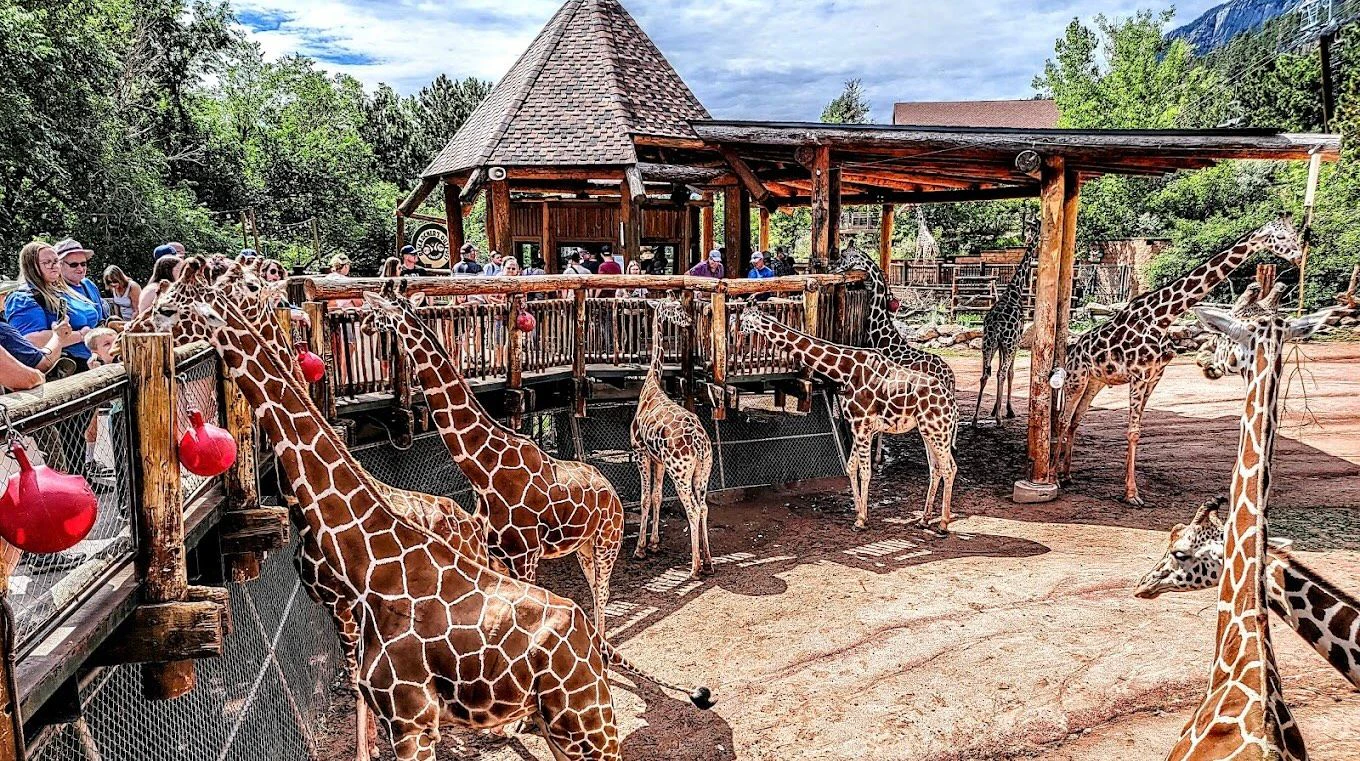 Cheyenne Zoo 2.jpeg