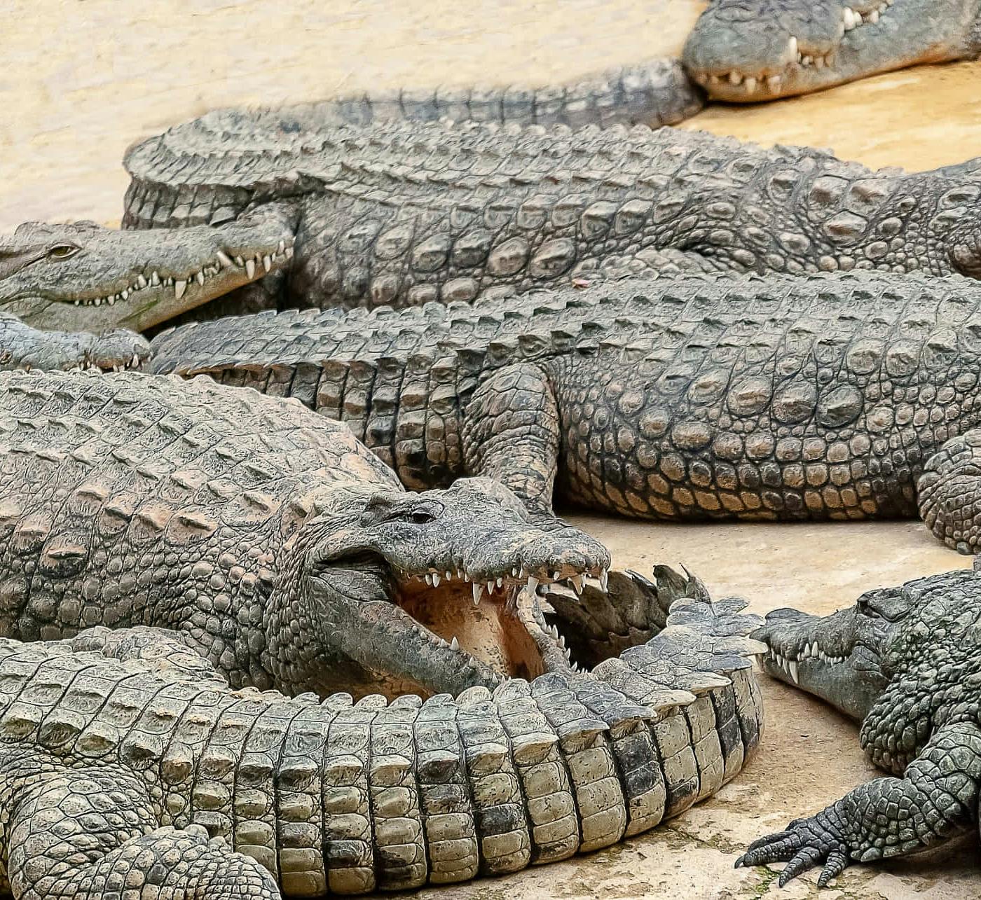 Unique Things to do in Cancun, Mexico