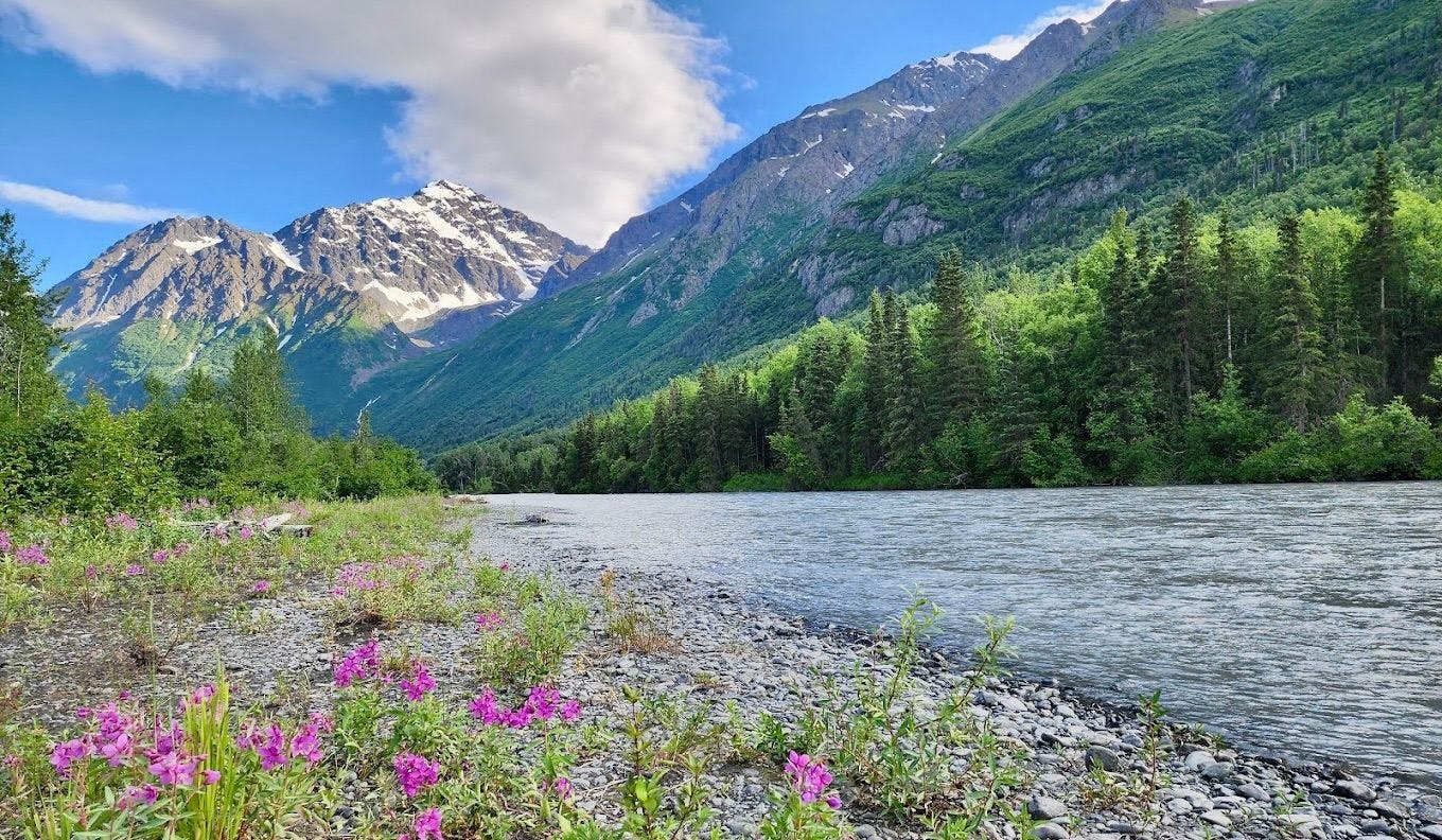 Chugach SP 6.jpeg