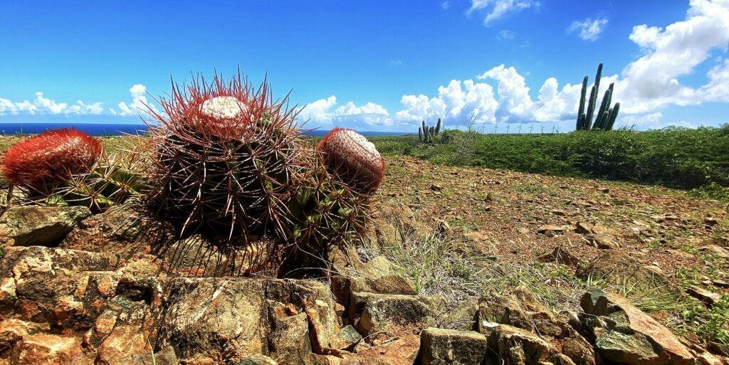 Arikok National Park