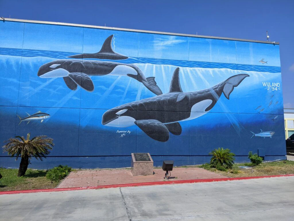 laguna-madre-nature-trail-004