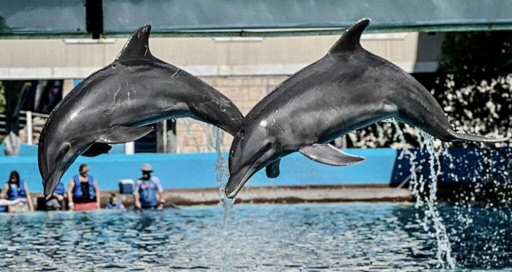 interactive-aquarium-cancun-003
