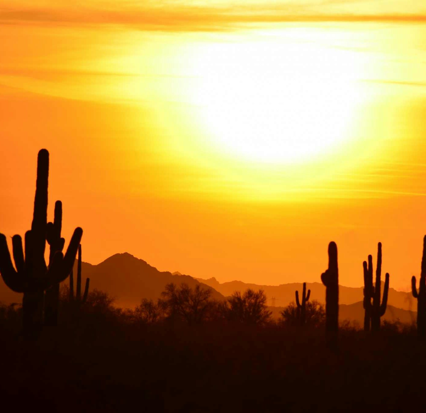 “Hidden Gems” & Things to Do in Scottsdale Arizona