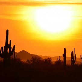 “Hidden Gems” & Things to Do in Scottsdale Arizona