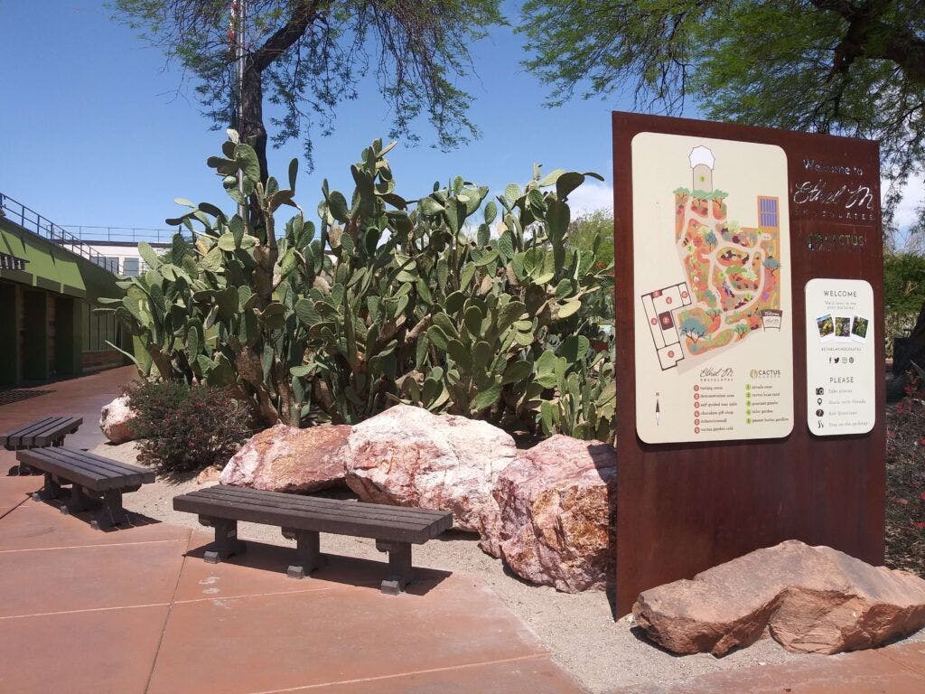 ethel-m-botanical-cactus-garden-002