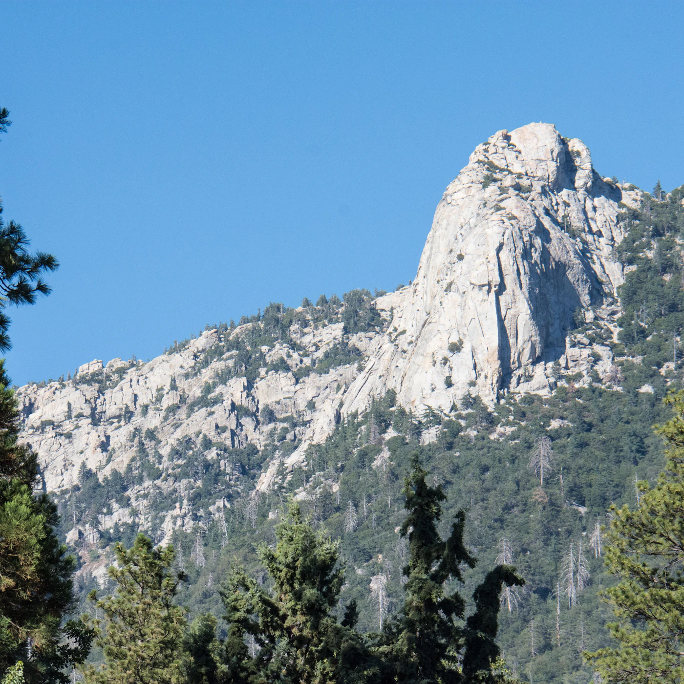 AdobeStock_226258875.jpeg