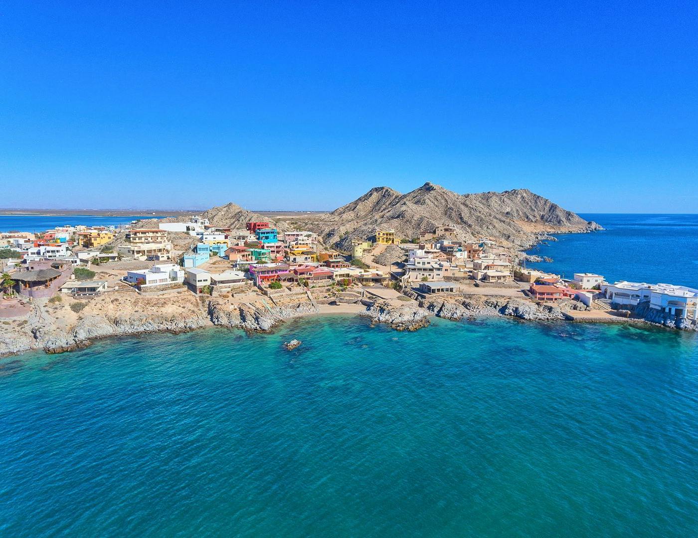 Cholla Bay 