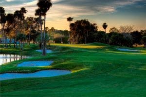 Palm Harbor Golf Club