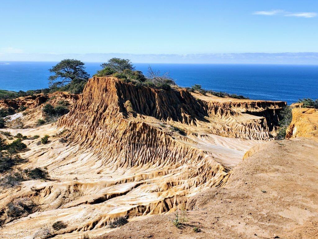 torrey-pines-state-natural-reserve-002