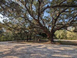 bon-secour-national-wildlife-refuge-002