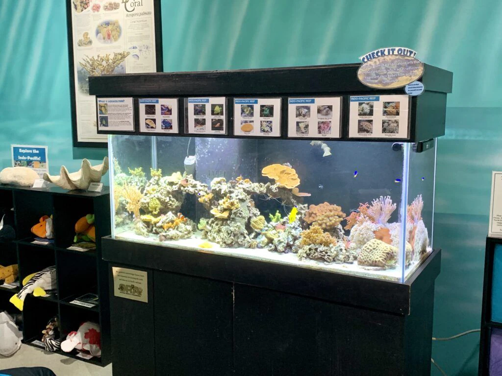 st-lucie-county-aquarium-002