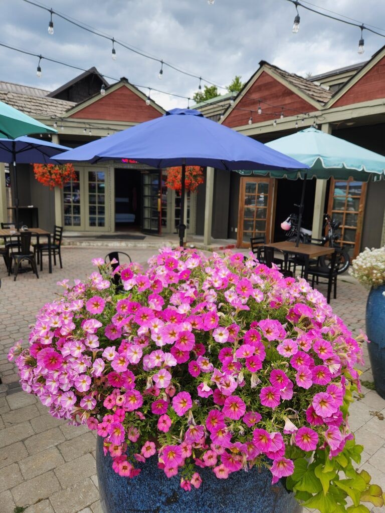 serva-peruvian-cuisine-003