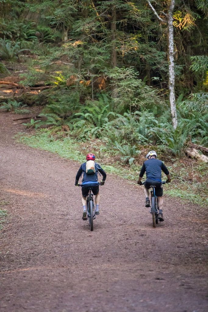 arcata-community-forest-001