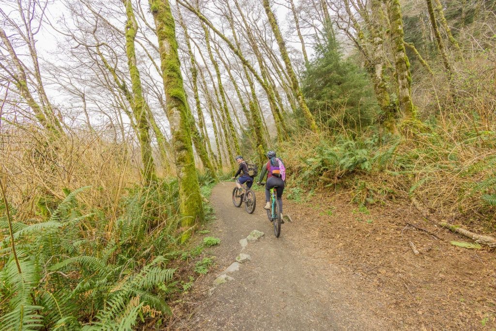 fern-canyon-inside-prairie-creek-redwoods-state-park-010