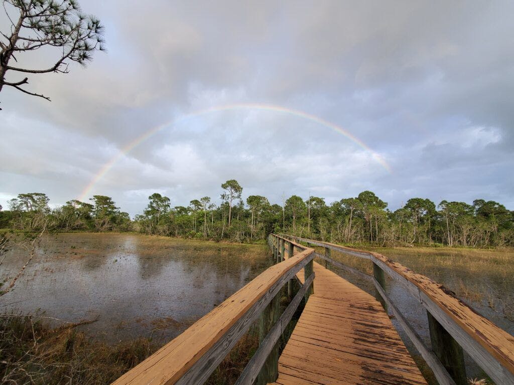 spruce-bluff-preserve-002