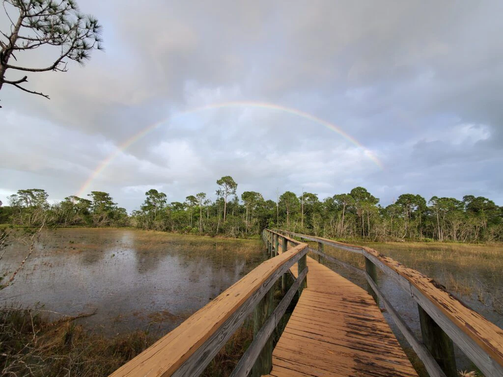 spruce-bluff-preserve-002