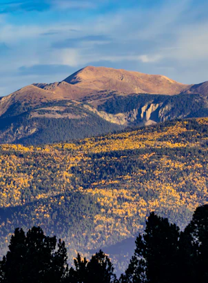 Angel Fire