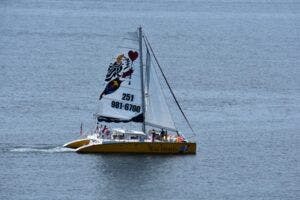 sail-wild-hearts-002