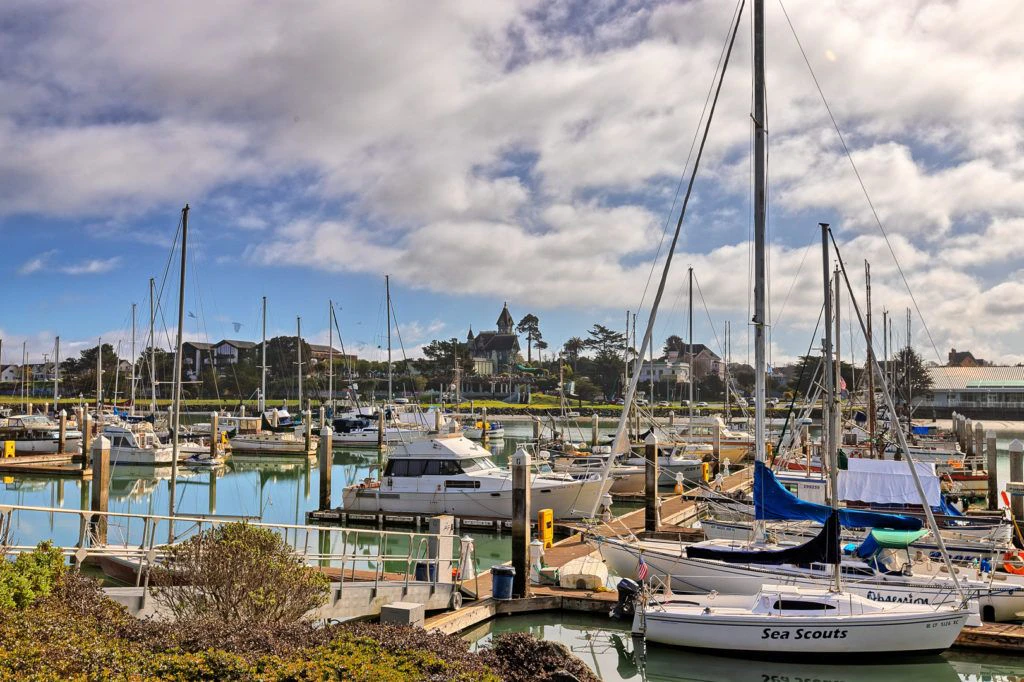 woodley-island-marina-001