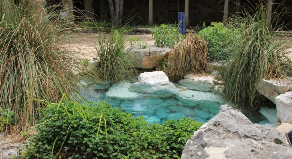 lady-bird-johnson-wildflower-center-003