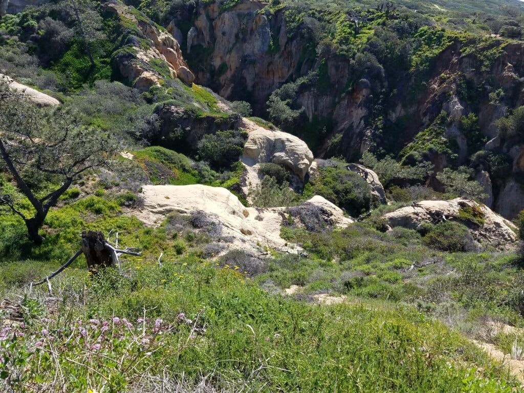 torrey-pines-state-natural-reserve-001