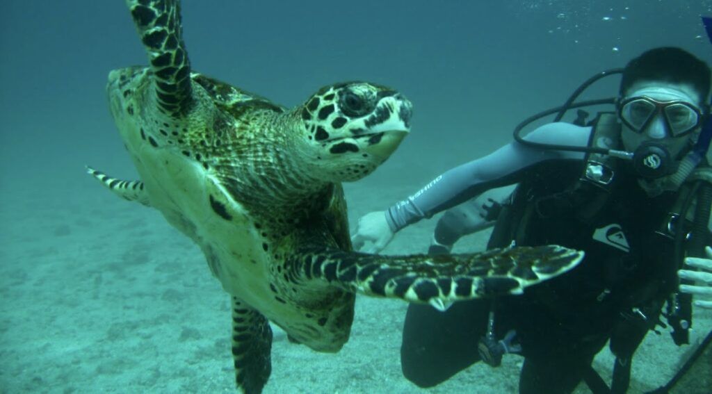 Loreto Sea & Land Tours