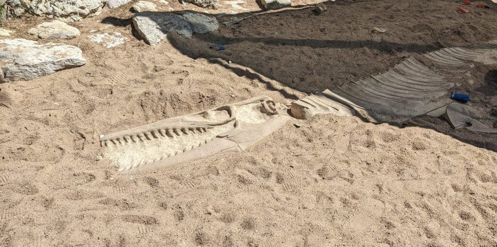 austin-nature-and-science-center-004