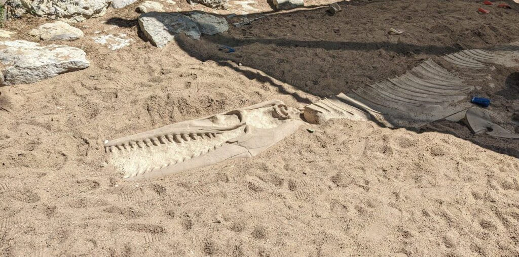 austin-nature-and-science-center-004