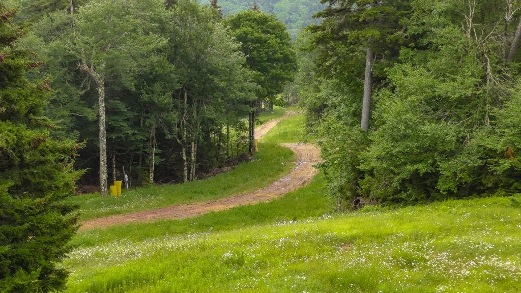 Explore the Snowshoe Mountain Trail System