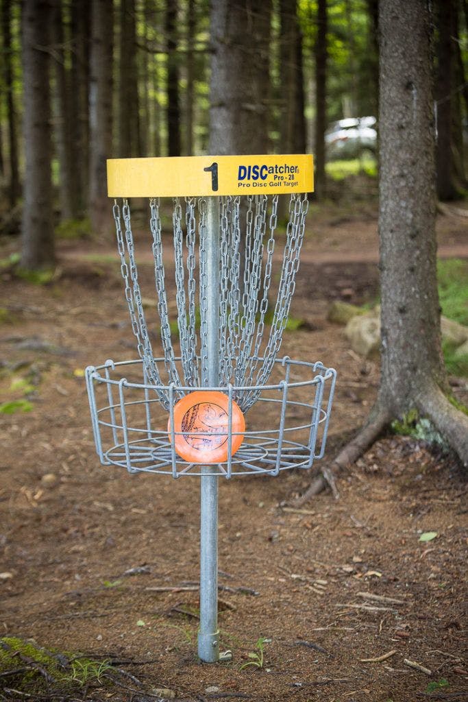 fairy-diddle-disc-golf-010