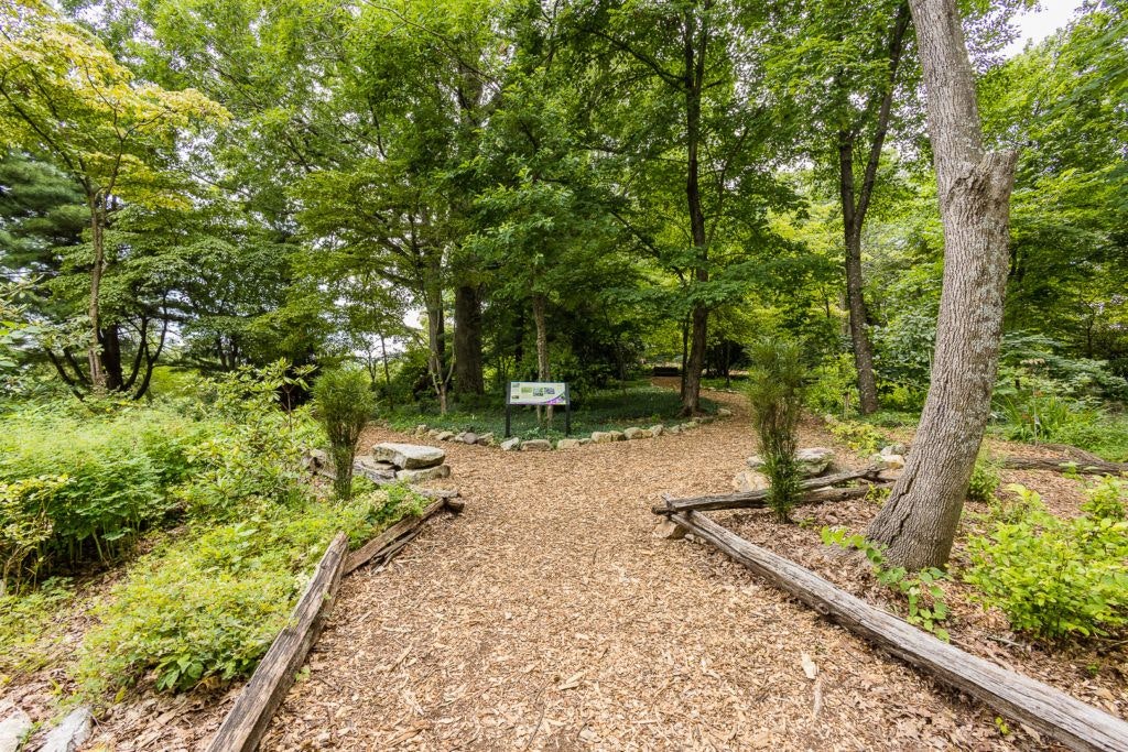 day-trip-to-roanoke-015