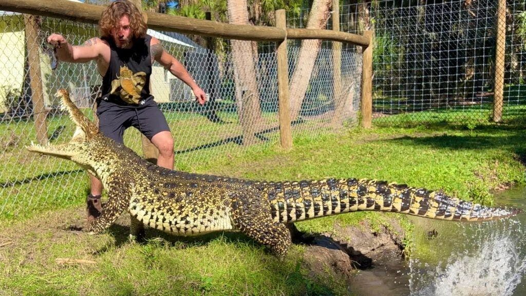 chandler-s-wild-world-003