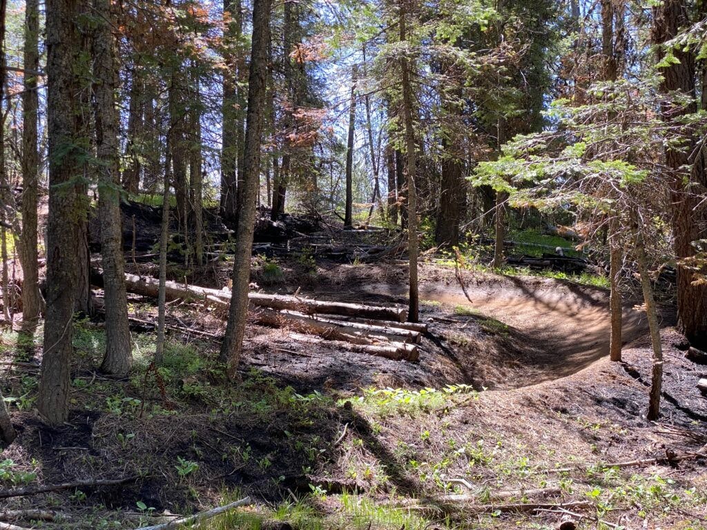 bear-basin-trailhead-001