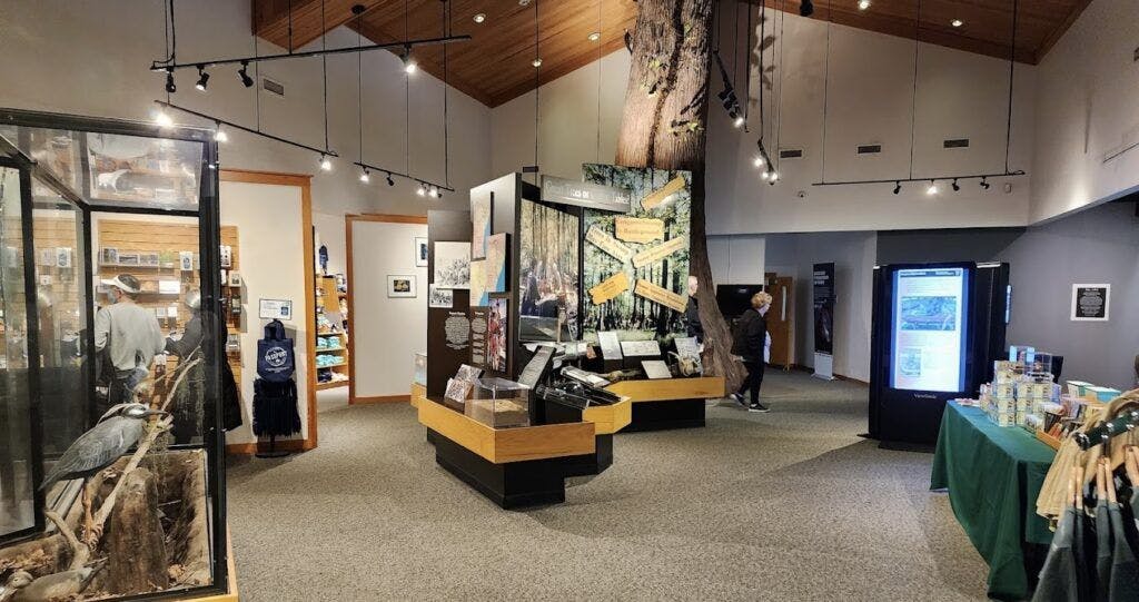 congaree-national-park-004