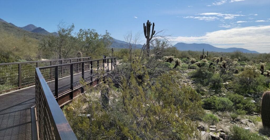 mcdowell-sonoran-preserve-002