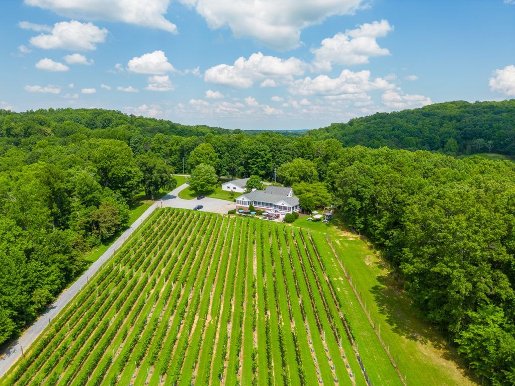 fables-and-feathers-winery-010