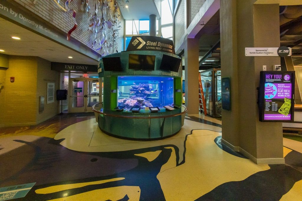 roanoke-pinball-museum-005