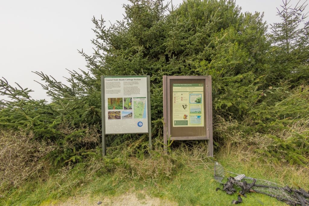 fern-canyon-inside-prairie-creek-redwoods-state-park-009
