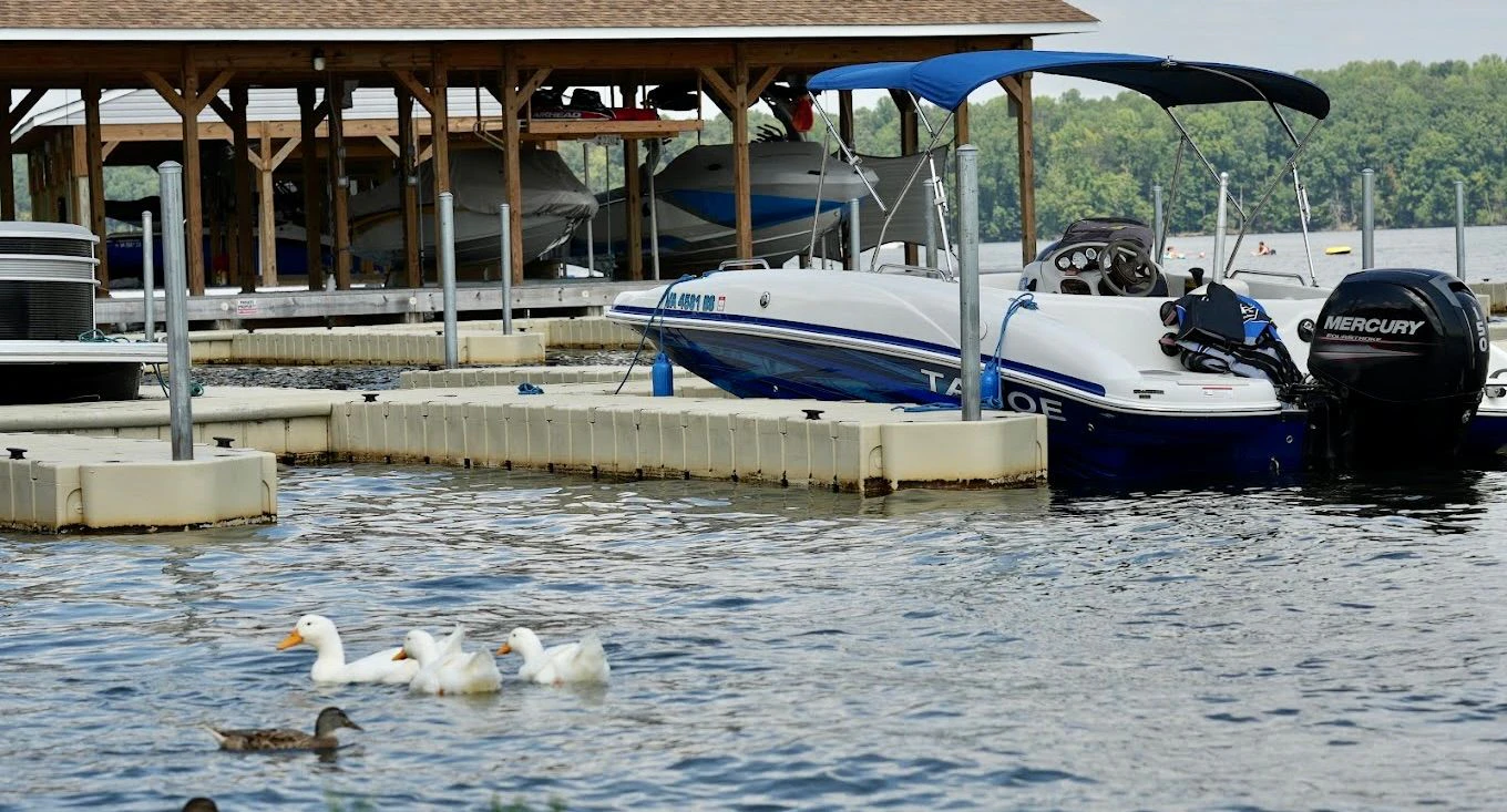 Anna Point Marina 2.jpeg