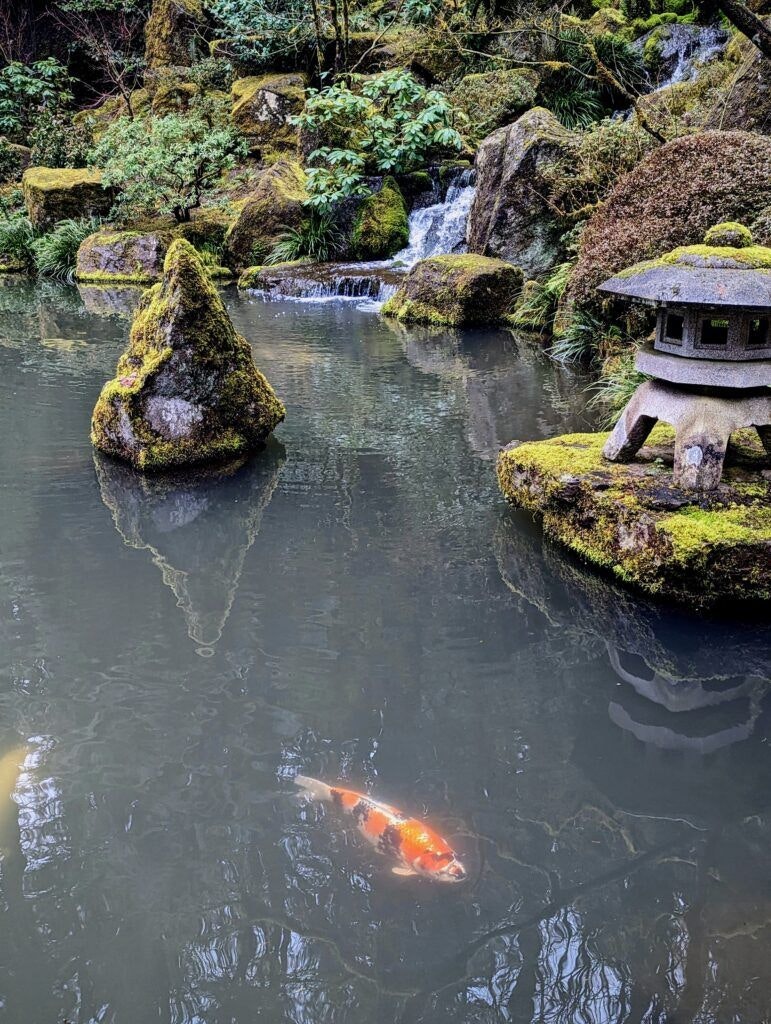portland-japanese-garden-004