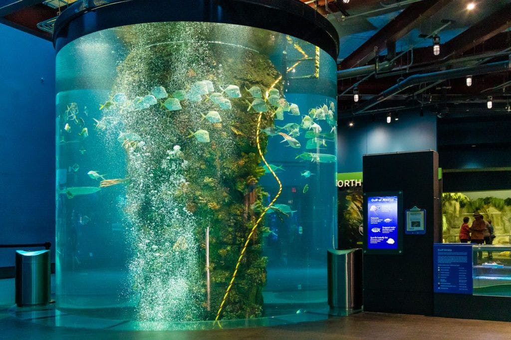 moody-gardens-pyramids-018