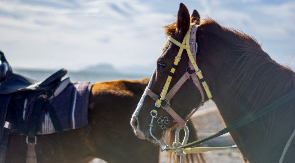 wild-loreto-tours-003