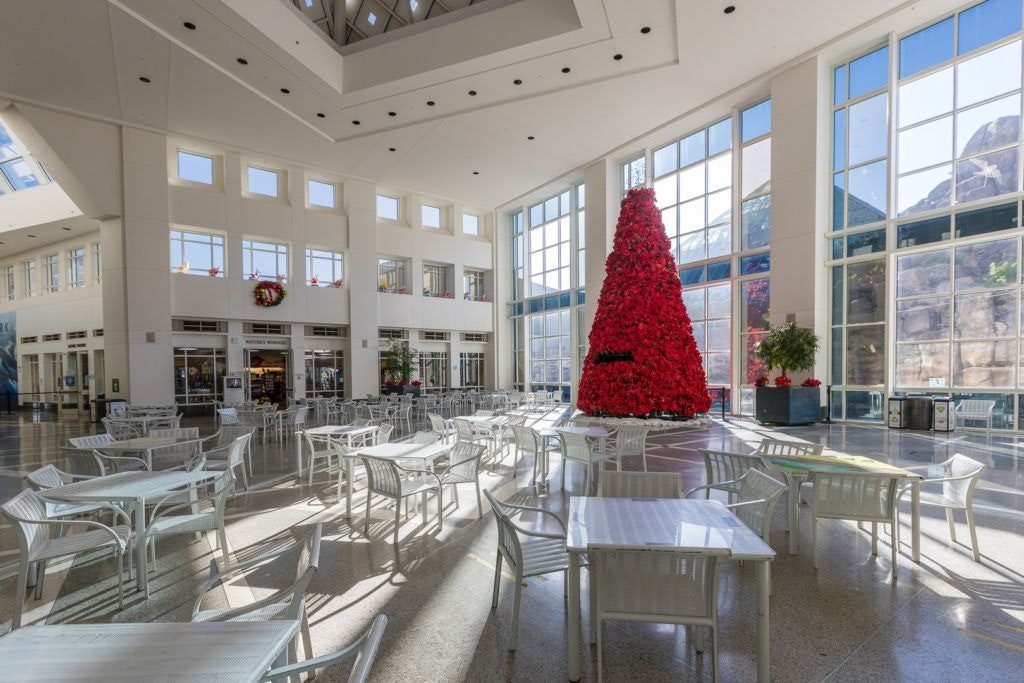 moody-gardens-pyramids-037