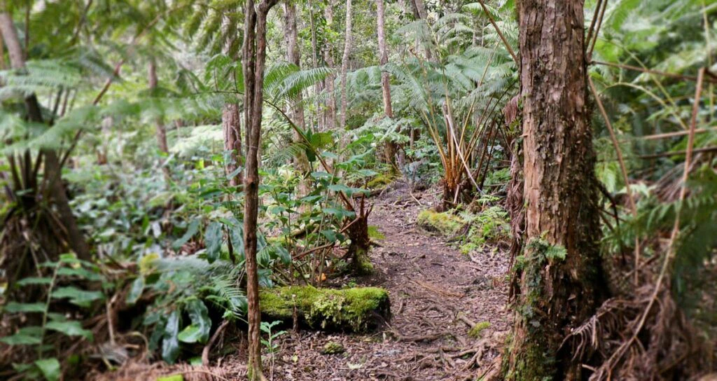 makahi-st-trailhead-003