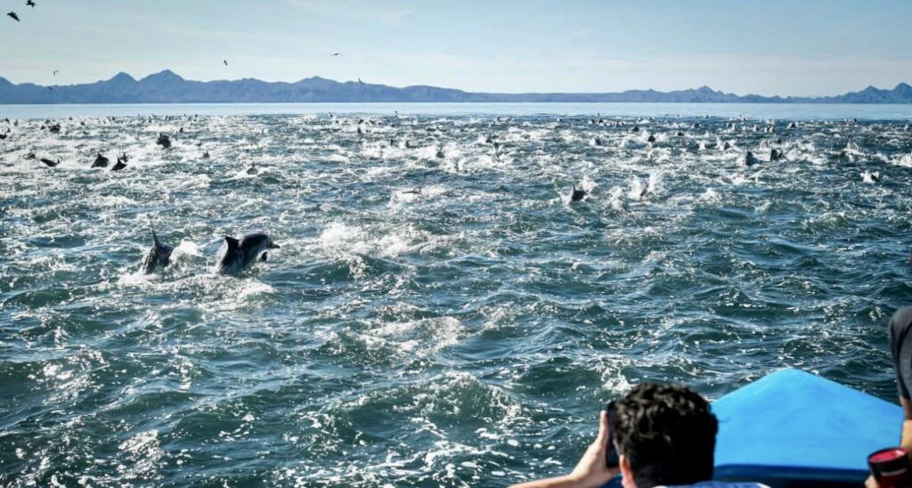 loreto-sea-and-land-tours-004