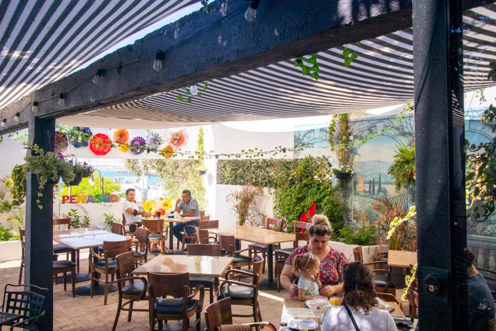 grapes-and-barley-031