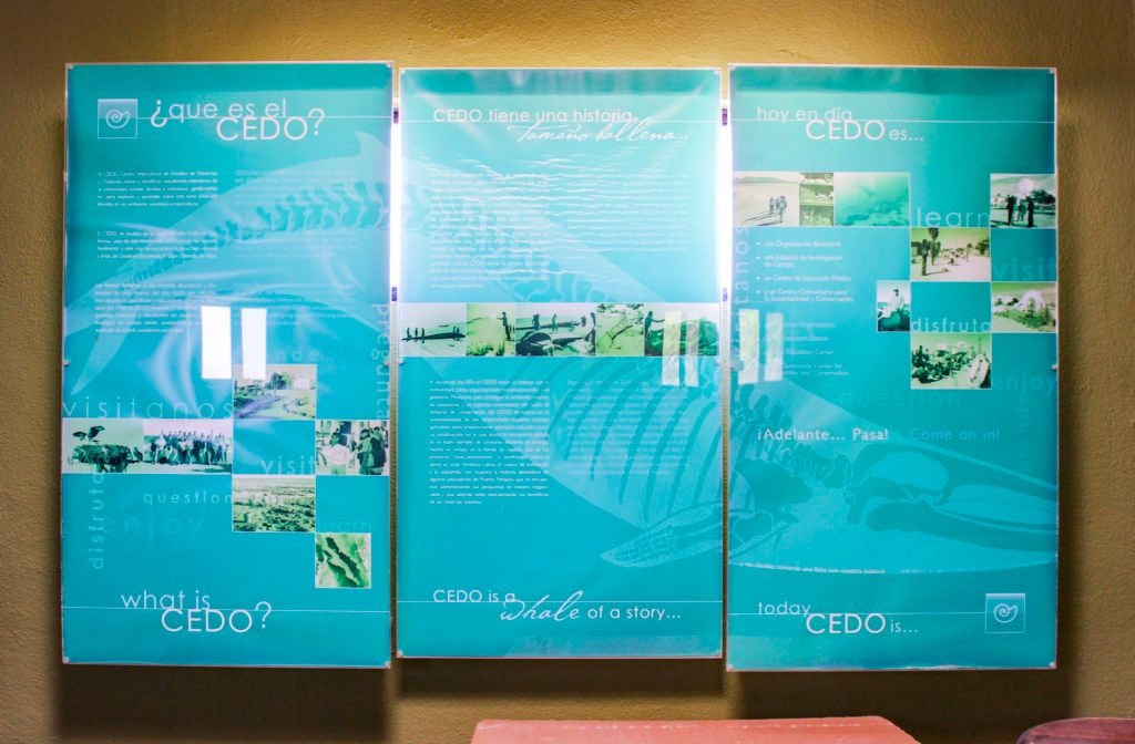 cedo-intercultural-center-for-the-study-of-deserts-and-oceans-018